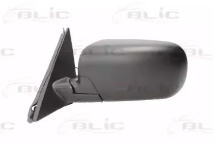 blic-5402041139824