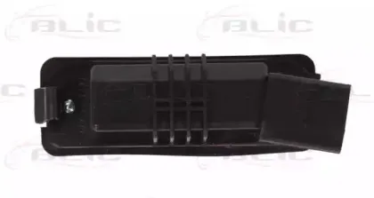blic-540205322905
