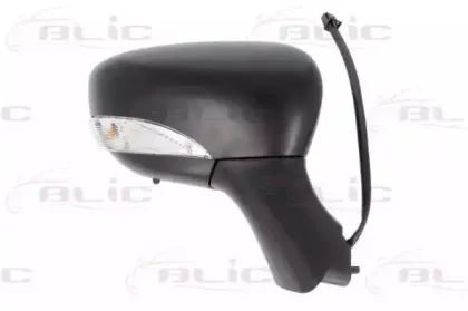 5402-09-2002126P BLIC Наружное зеркало