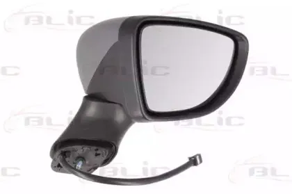 5402-09-2002130P BLIC Наружное зеркало