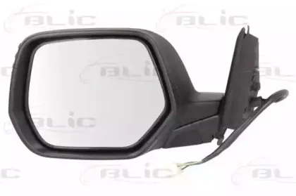 5402-12-2001337P BLIC Наружное зеркало