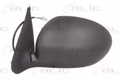 5402-16-2001871P BLIC Наружное зеркало