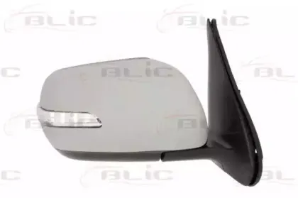 5402-18-2002418P BLIC Наружное зеркало