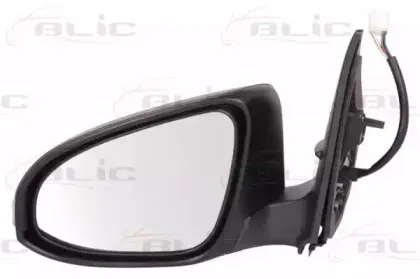 5402-19-2002441P BLIC Наружное зеркало