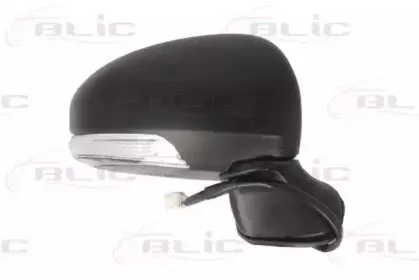 5402-19-2002452P BLIC Наружное зеркало