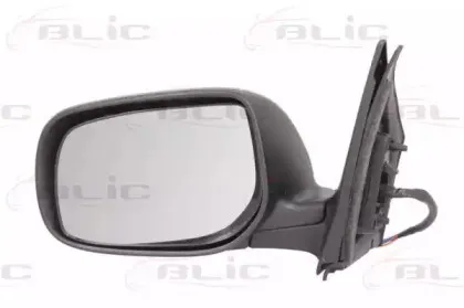 5402-19-2002463P BLIC Наружное зеркало