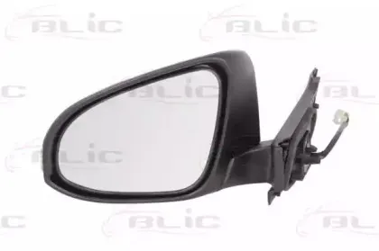 5402-19-2002551P BLIC Наружное зеркало