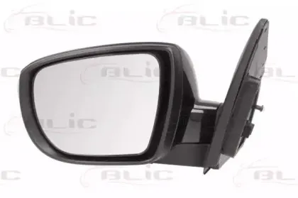 5402-20-2001423P BLIC Наружное зеркало