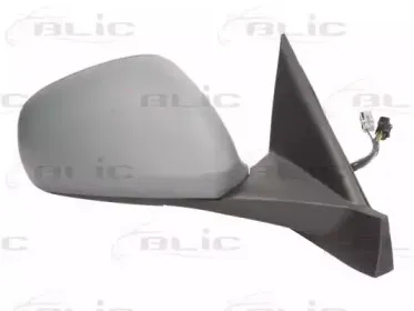 5402-22-016364P BLIC Наружное зеркало