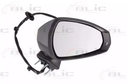 5402-25-2001028P BLIC Наружное зеркало