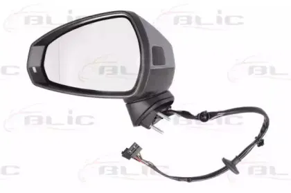 5402-25-2001029P BLIC Наружное зеркало