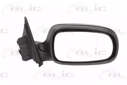 5402-26-2002254P BLIC Наружное зеркало