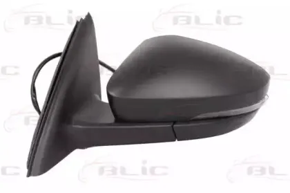 5402-43-2002351P BLIC Наружное зеркало