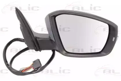5402-43-2002358P BLIC Наружное зеркало
