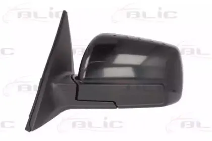 5402-53-2001565P BLIC Наружное зеркало