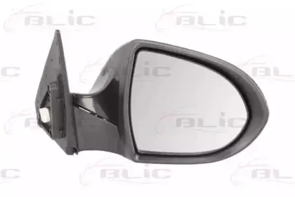 5402-53-2001574P BLIC Наружное зеркало