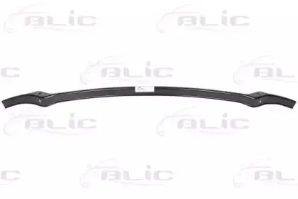 5502-00-0063941P BLIC Носитель, буфер