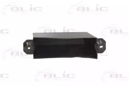 5502-00-1303981P BLIC Носитель, буфер