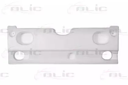 5502-00-2555983P BLIC Носитель, буфер