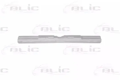 5502-00-4001981P BLIC Носитель, буфер