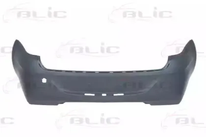 5506005079954Q BLIC Буфер