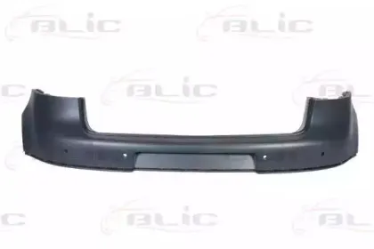 5506009524954Q BLIC Буфер