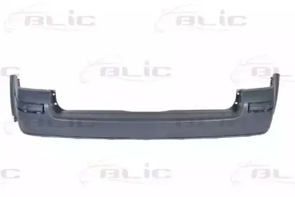 5506009539953Q BLIC Буфер