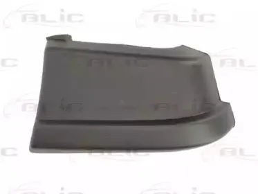 5507-00-2096913P BLIC Буфер