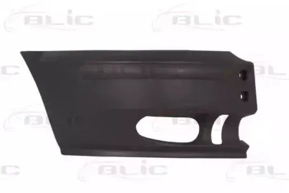 5507-00-2509914P BLIC Буфер