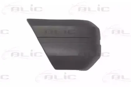 5507003203912P BLIC Буфер