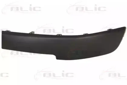5507-00-6041921P BLIC Облицовка / защитная накладка, буфер