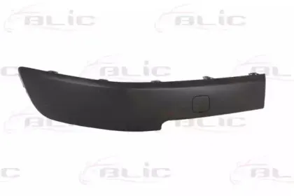 5507-00-6041922P BLIC Облицовка / защитная накладка, буфер