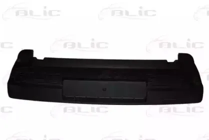 5510-00-2020900P BLIC Буфер