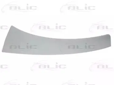 5510-00-2097914P BLIC Рама фары