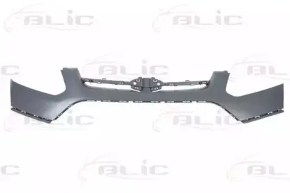 5510-00-2512902P BLIC Буфер