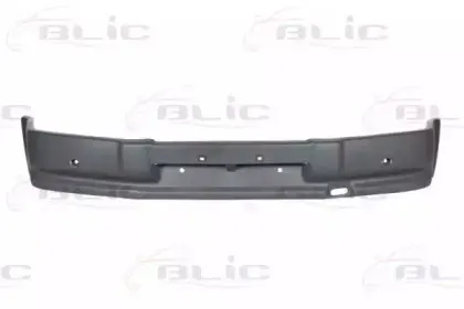 5510002515902Q BLIC Буфер