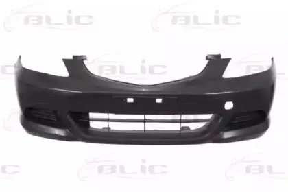 5510-00-2902901P BLIC Буфер