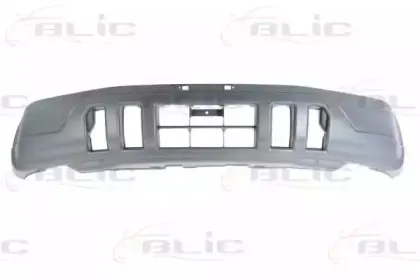 5510-00-2955900P BLIC Буфер