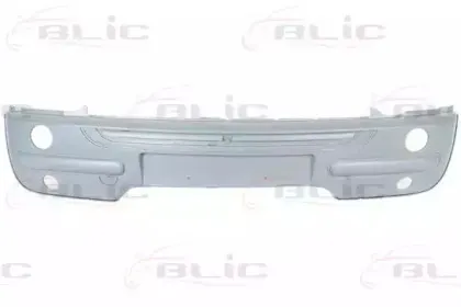 5510-00-4001901P BLIC Буфер