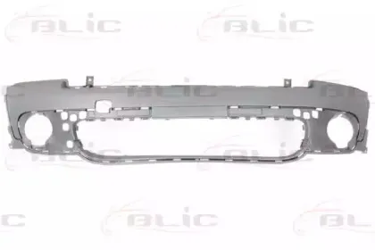 5510-00-4001903P BLIC Буфер