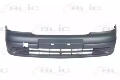 5510005051900Q BLIC Буфер