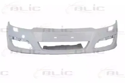 5510-00-5052900P BLIC Буфер