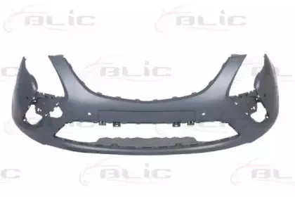 5510005064905Q BLIC Буфер