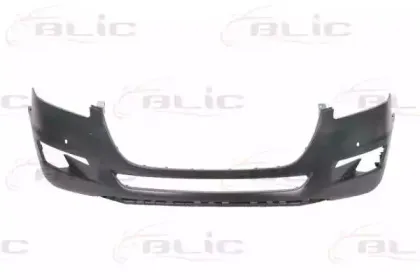 5510-00-5527900Q BLIC Буфер