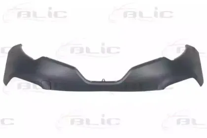 5510-00-6009901Q BLIC Буфер