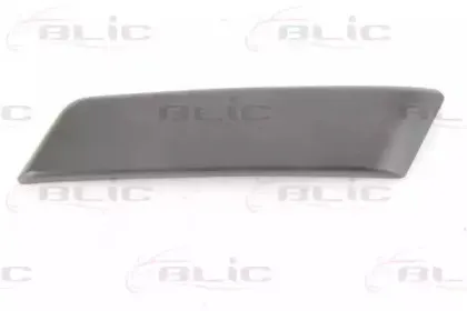 5510-00-6043921P BLIC Облицовка / защитная накладка, буфер