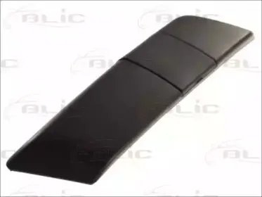 blic-5510006043922p