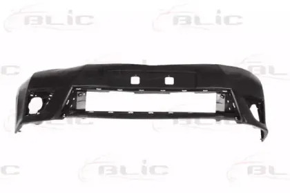 5510-00-8119900P BLIC Буфер