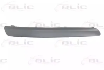 5510009506924Q BLIC Облицовка / защитная накладка, буфер