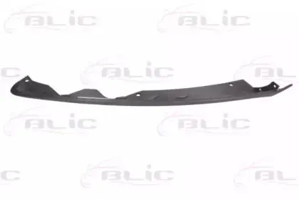 5511-00-2558221P BLIC Спойлер